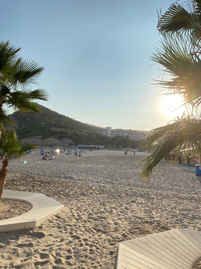 Estudio Calafin 56 فينيسترات المظهر الخارجي الصورة